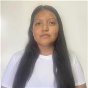 Maestro de matemáticas sin experiencia para primaria o secundaria en linea